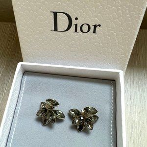 Dior Crystals earrings